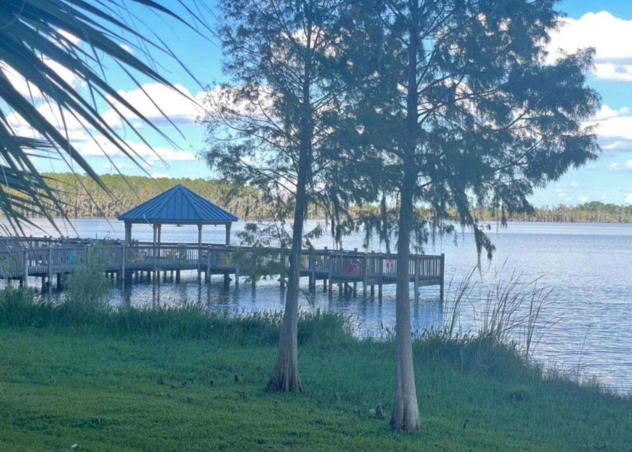 Disney Just 1 And A Quarter Mile Away, Blue Heron 1 Room 2 Bath,Amenities,6 Guests, Walk To Restaurants, No Fees At Check In Orlando Exteriör bild